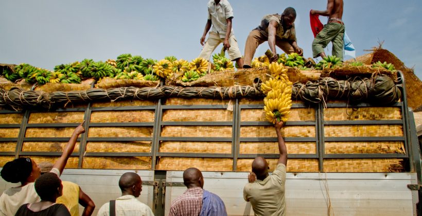 Men loading bananas from a truck in South Sudan.